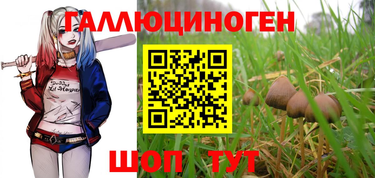 Псилоцибиновые грибы Cubensis  Вход с VPN  Мелеуз 